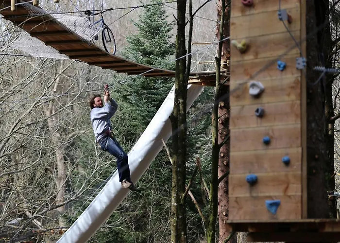 Отель Demeure De Flore